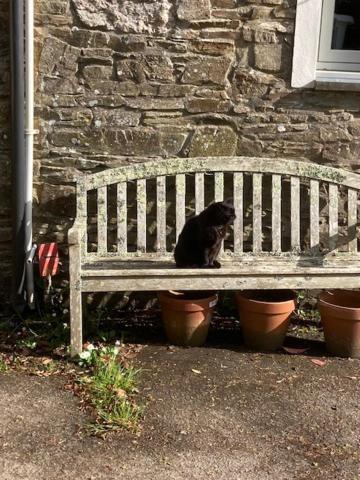 Tresithick Vean Bed And Breakfast Truro Exterior foto